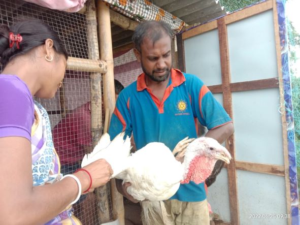 Duck and Chick Vaccination Campaign